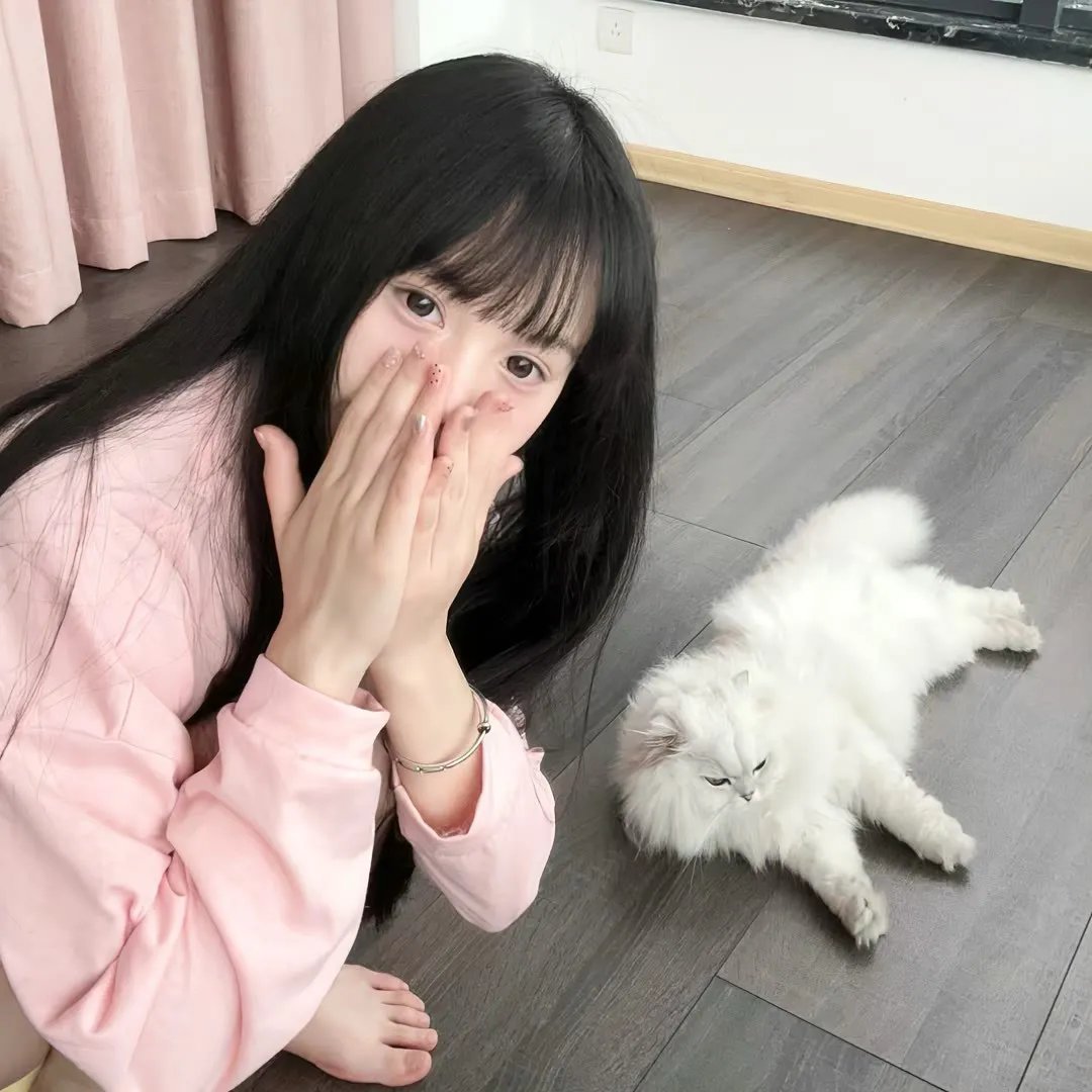 美人与流血事件封面